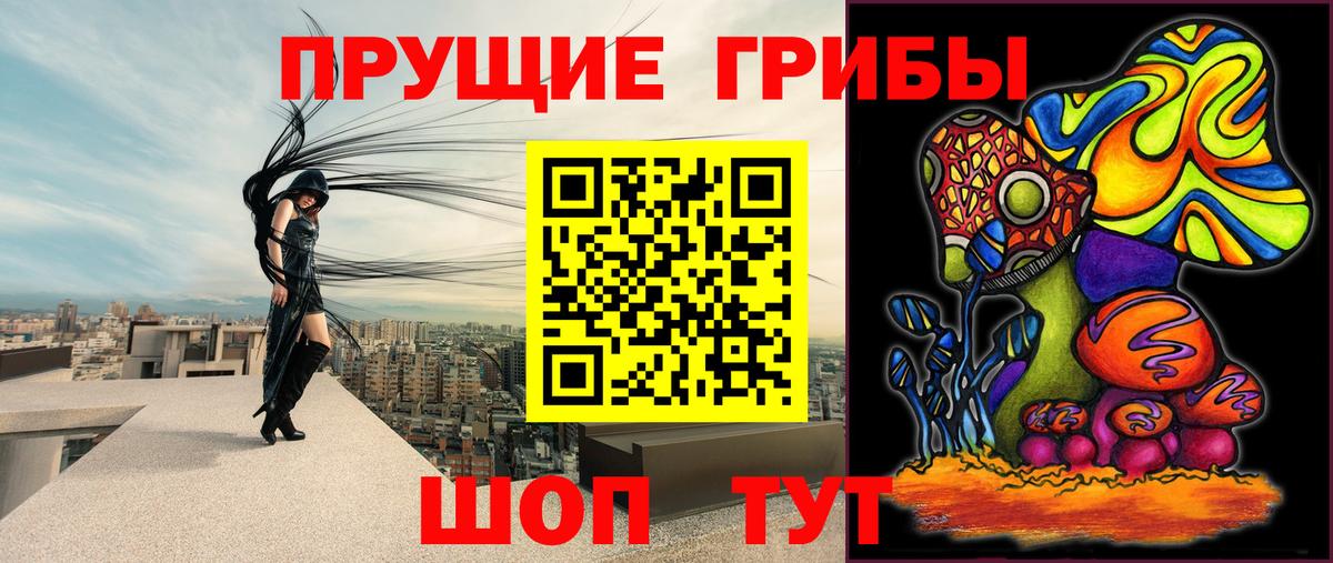 Галлюциногенные грибы Magic Shrooms  Вход с VPN  Бахчисарай  Псилоцибиновые грибы мухоморы 